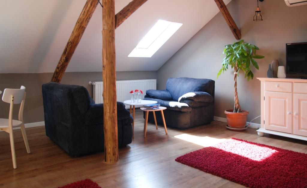 Apartment House 티미쇼아라 외부 사진